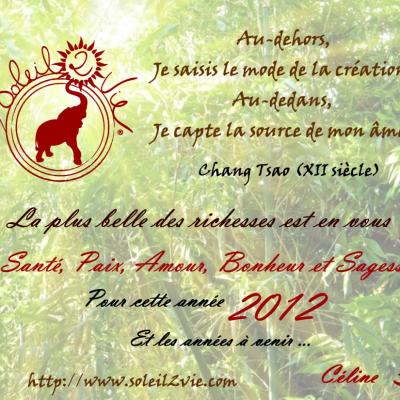 Bonne annee 2012 par soleil2vie