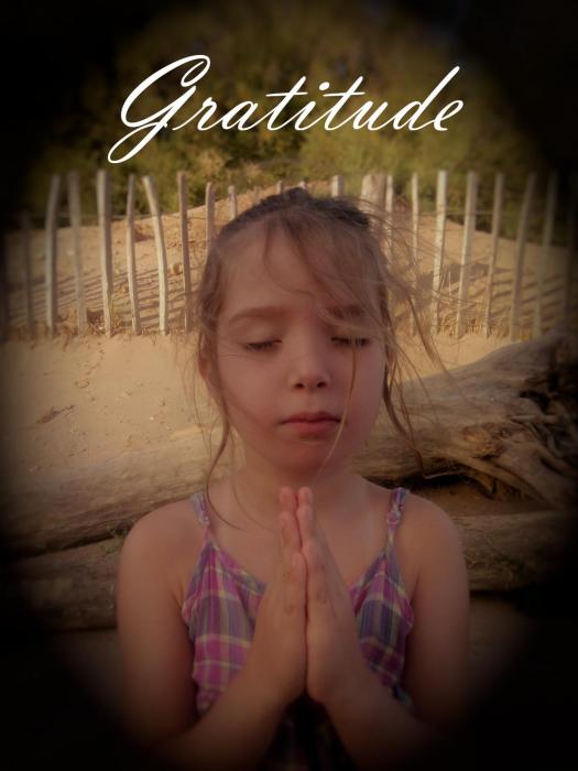 Gratitude soleil2vie