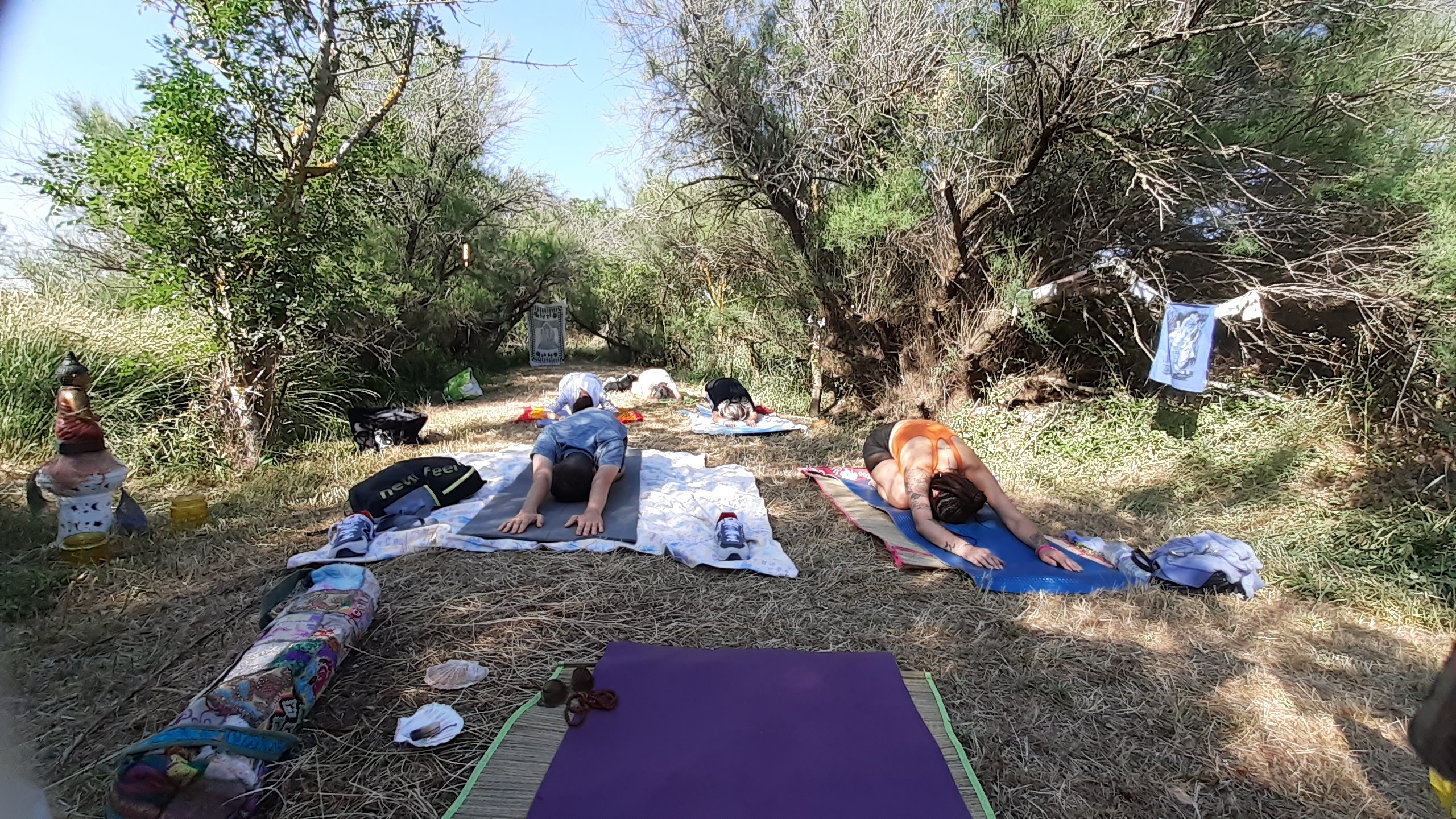 Yoga adulte en plein air