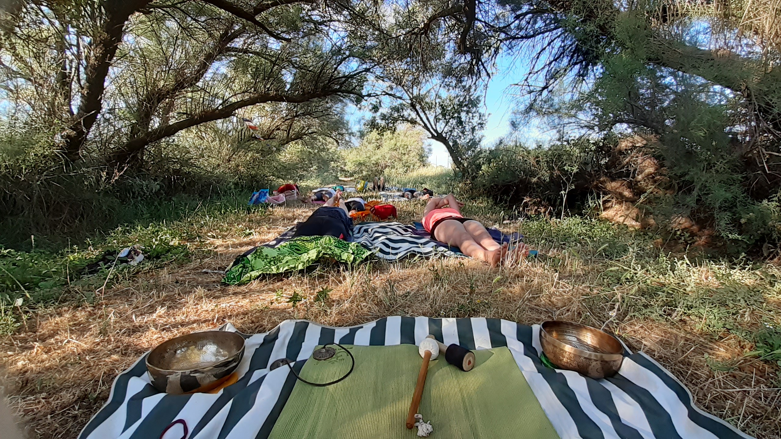 Yoga adulte en plein air