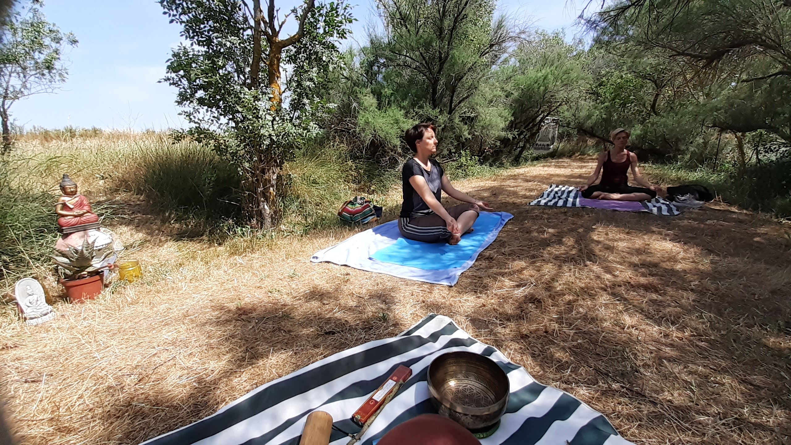 Yoga adulte en plein air