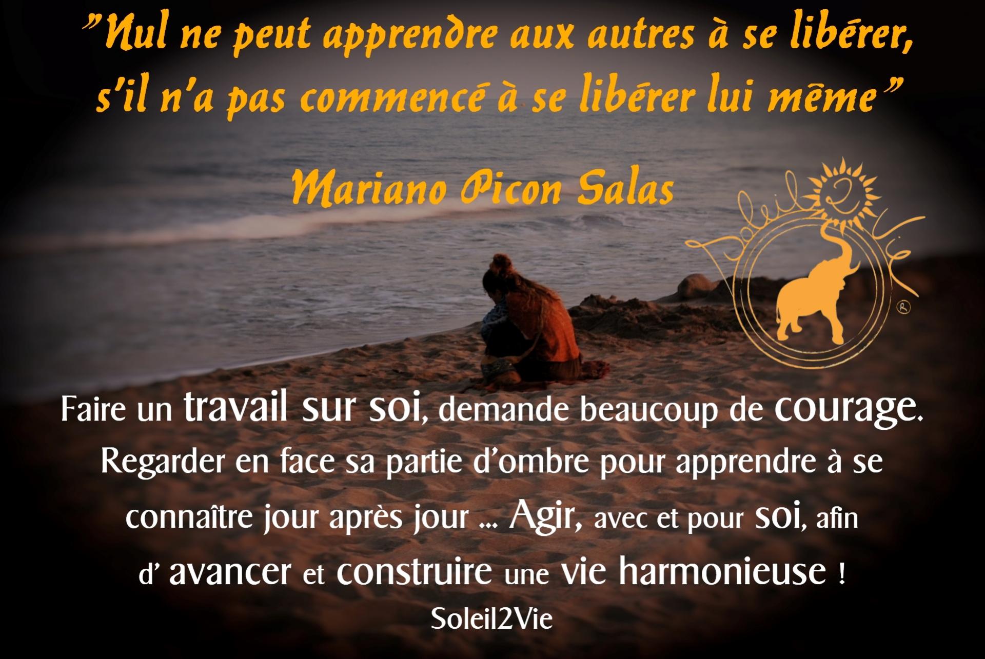 Faire un travail sur Soi, demande beaucoup de courage - Soleil2vie -