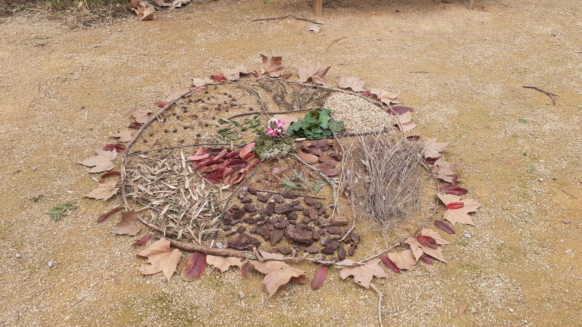Mandala naturel Soleil2vie