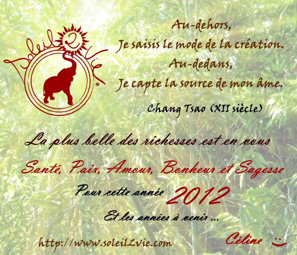 Bonne annee 2012 par soleil2vie