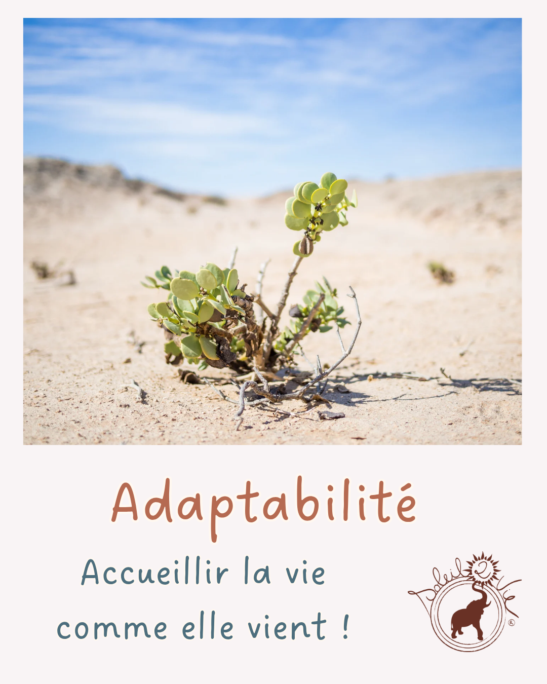 L'adaptabilité en sophrologie