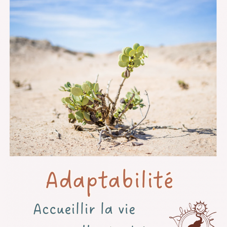 Copie de realite objective sophrologie 20250414 113607 0000