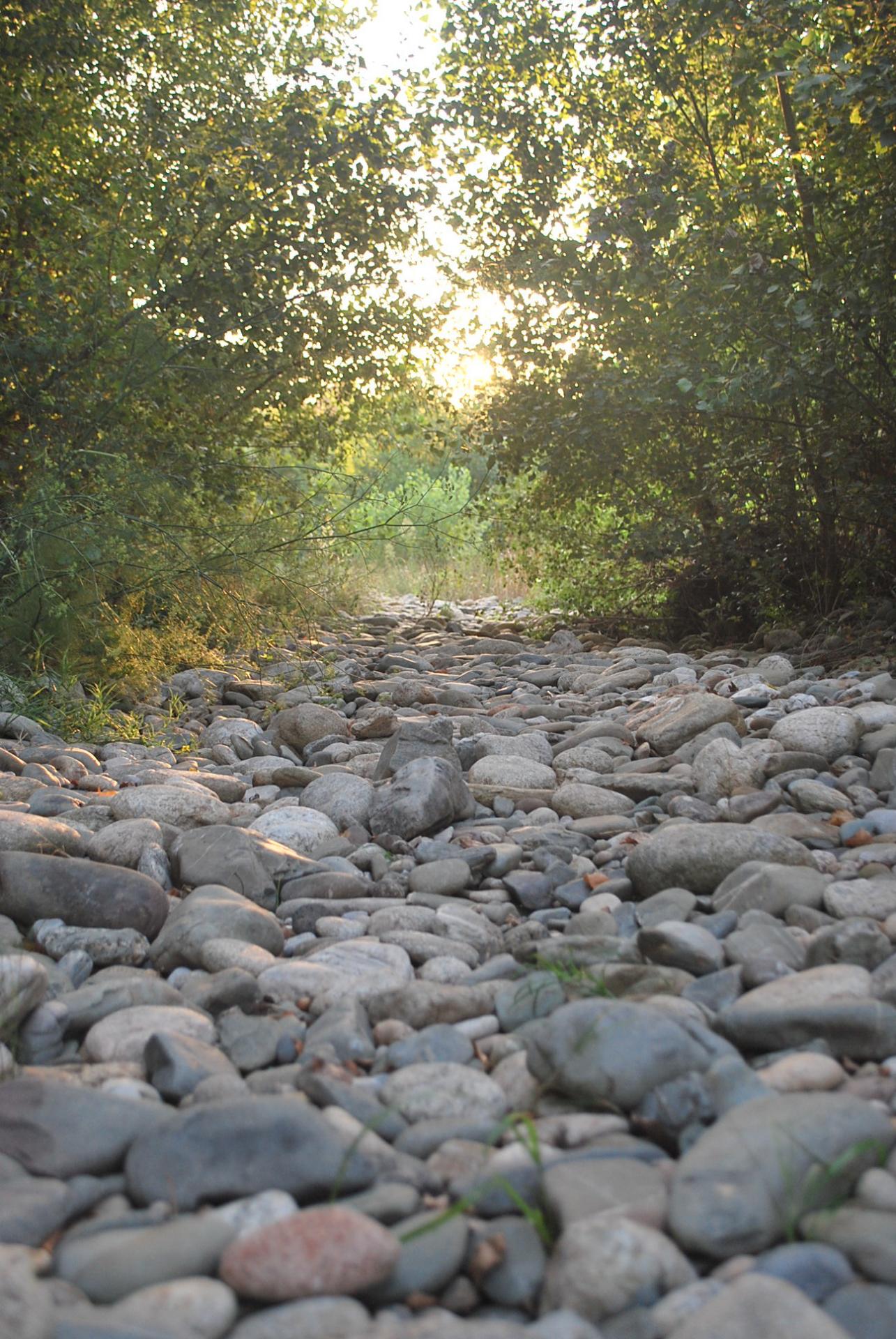 chemin - soleil2vie