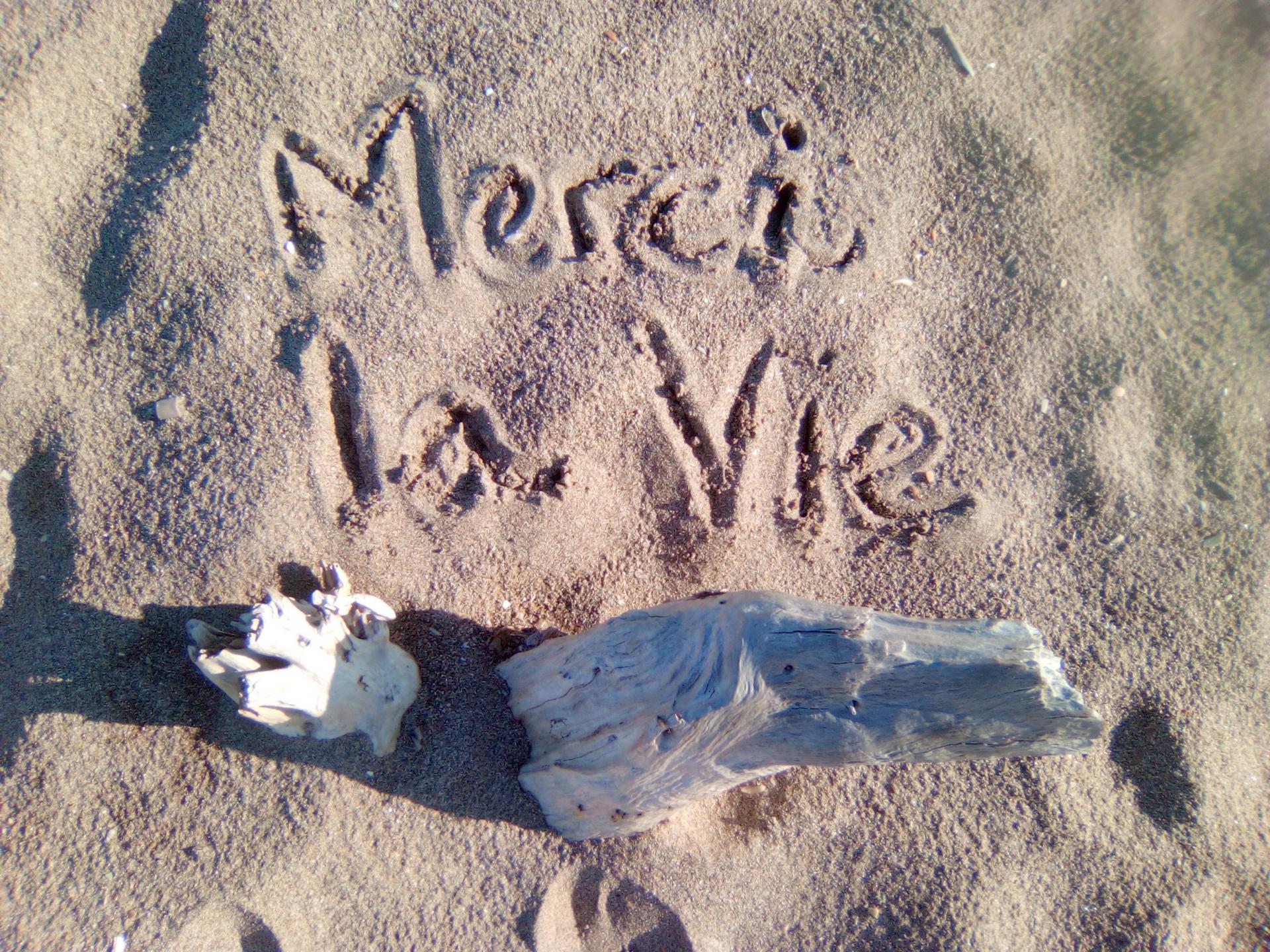 Merci la vie